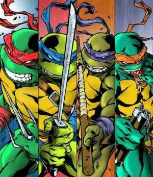 Ninja Turtles (CUSTOM)