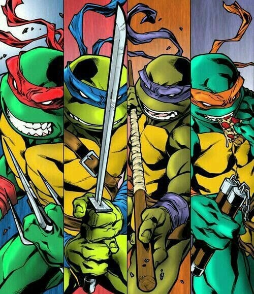 Ninja Turtles (CUSTOM)